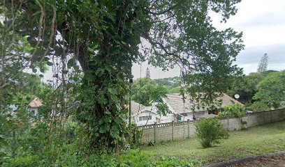 panoidNBH9LmpWEC1Xs9n5ey4urAcb clientsearch.gws prod.gpsw408h240yaw204.84962pitch0thumbfov100dummy
