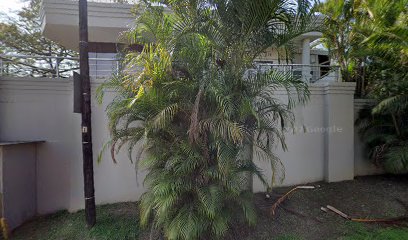 panoidQYZ8PrPxuiO9xk9m fgdZgcb clientsearch.gws prod.gpsw408h240yaw65.0635pitch0thumbfov100dummy